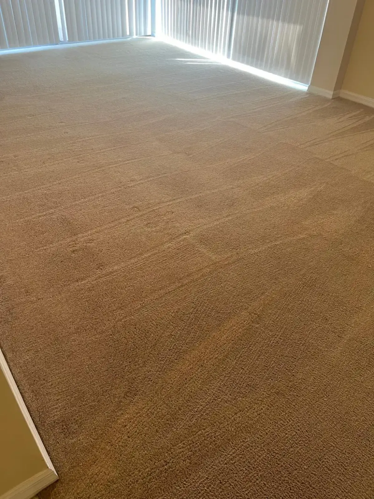 Carpet Steam Cleaning - Before & After 1 - After
