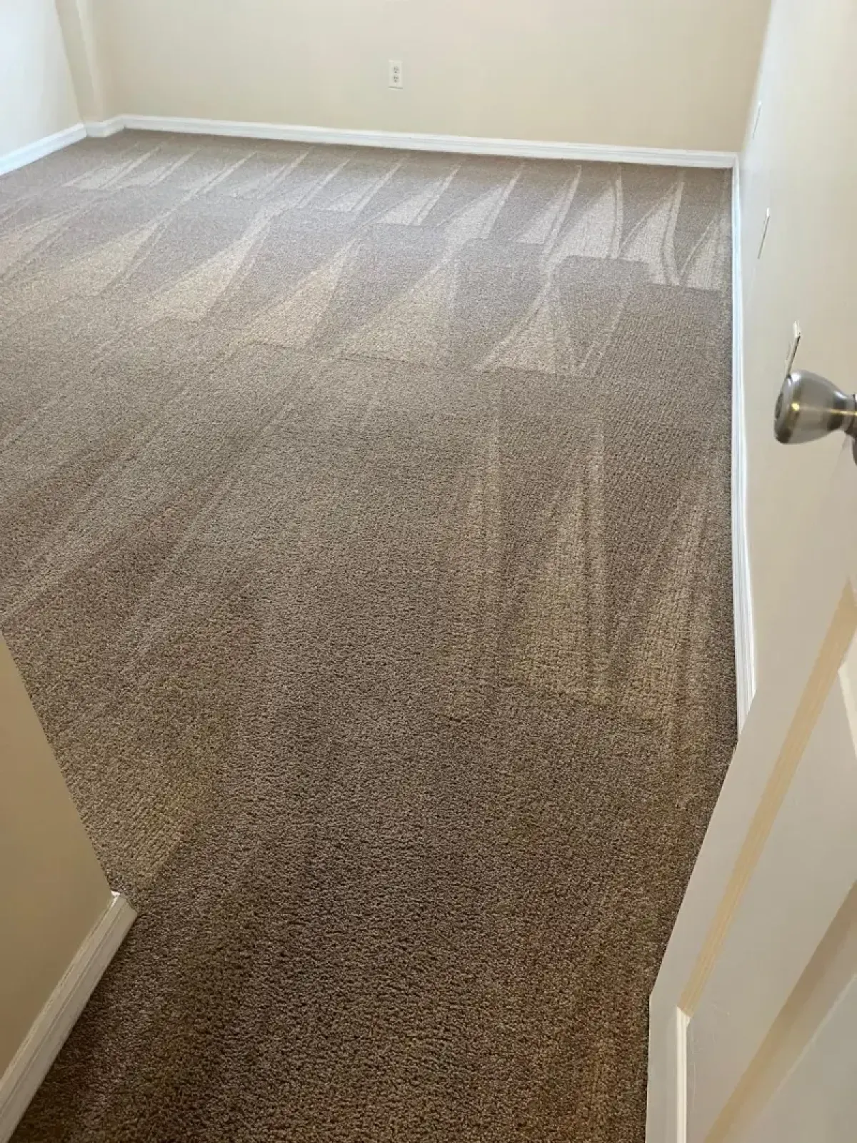 Carpet Steam Cleaning - Before & After 2 - After