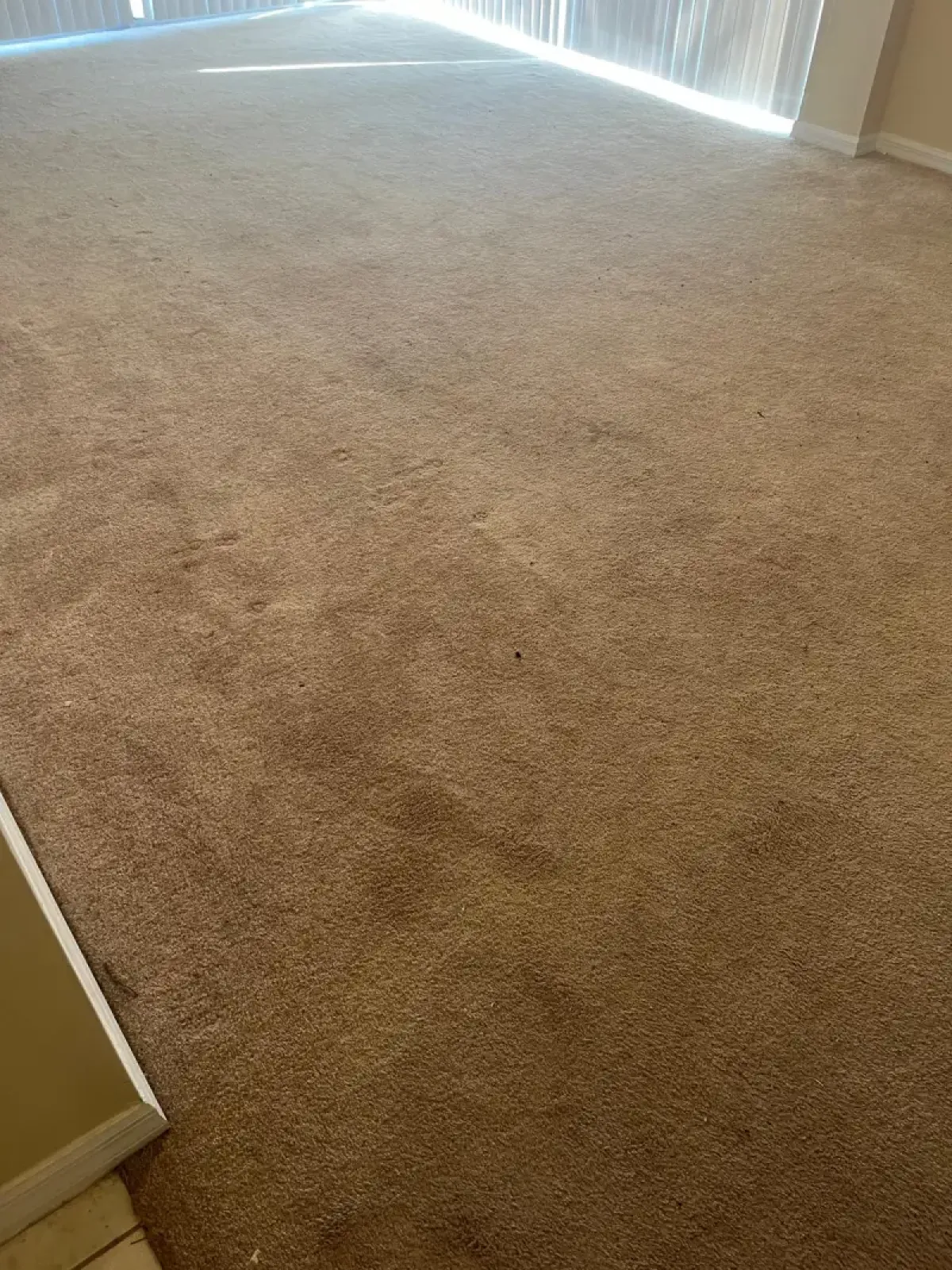 Carpet Steam Cleaning - Before & After 1 - Before