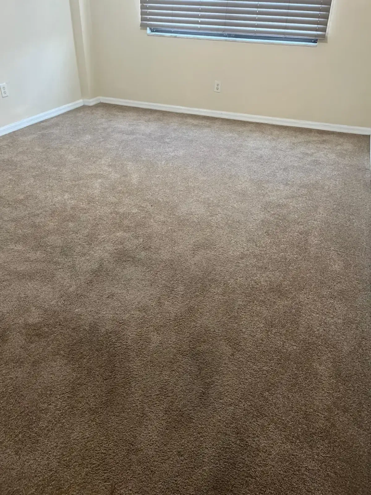 Carpet Steam Cleaning - Before & After 2 - Before